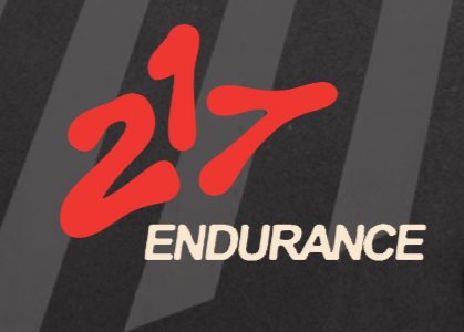 217 Endurance logo